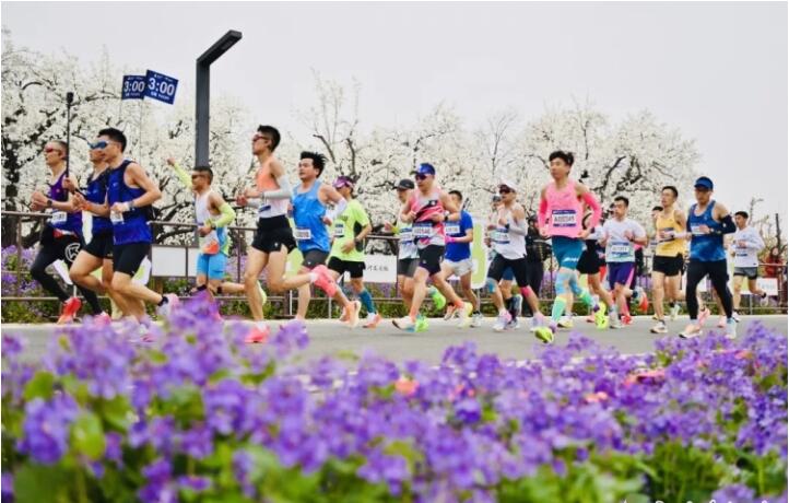 南京厚建软件 LivCMS 内容管理系统http：wwwhogesoftcom 授皇冠体育app权用户：http：wwwxichunet(图1)