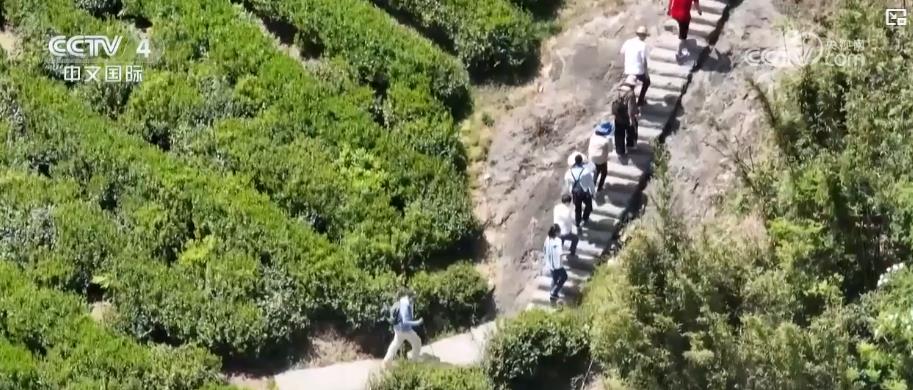 户外运动产业皇冠体育app迎规模化发展 消费扩容激活新经济增长点(图3)